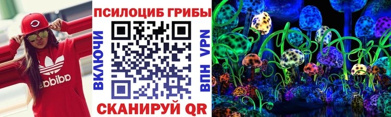 Галлюциногенные грибы мухоморы Красный Холм